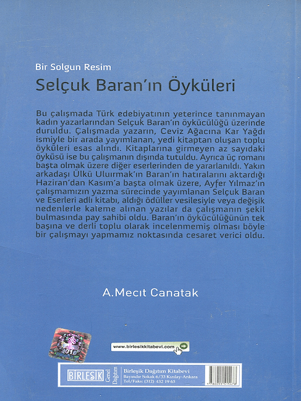 Selçuk Baran’ın Öyküleri - Bir Solgun Resim